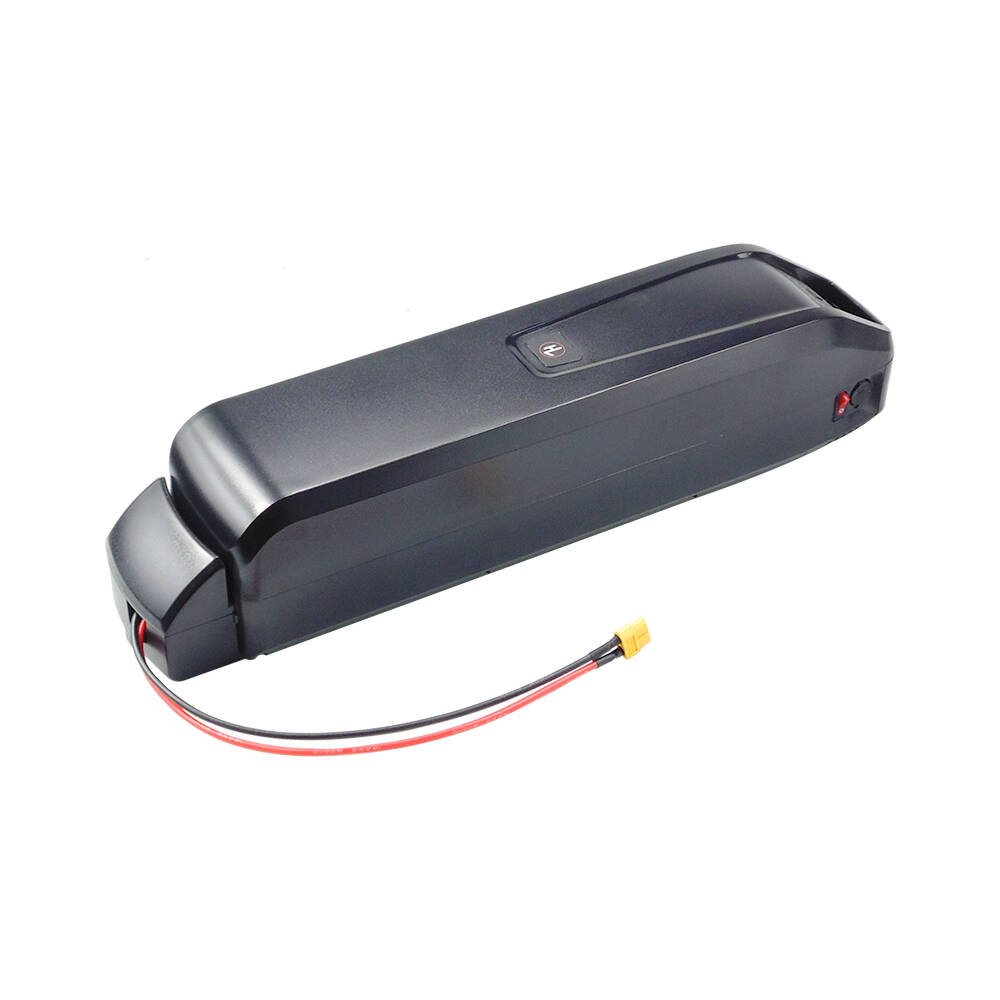 Actbest Kargo Elektrikli Bisik - Ebike Battery 48V 20Ah Hailong incelemesi ve fiyatı