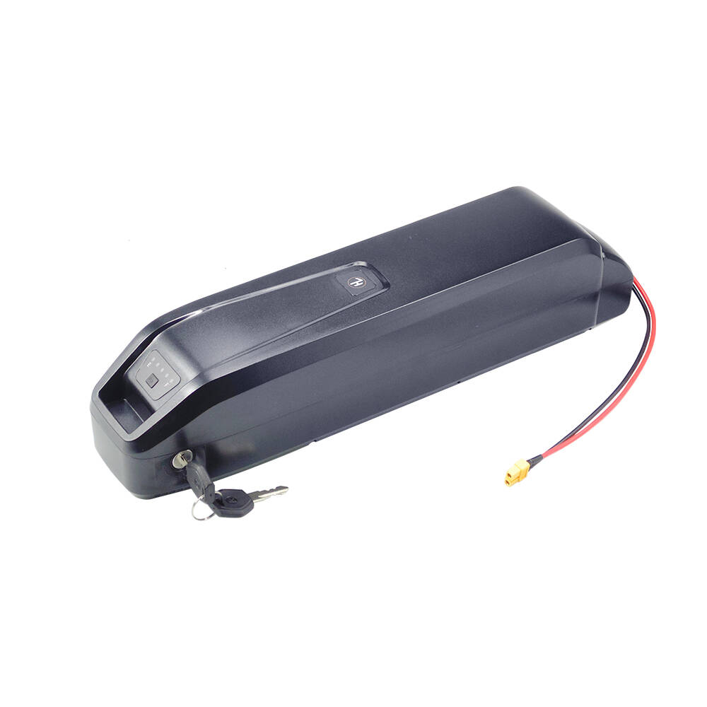 Actbest Kargo Elektrikli Bisik - Ebike Battery 48V 20Ah Hailong incelemesi ve fiyatı
